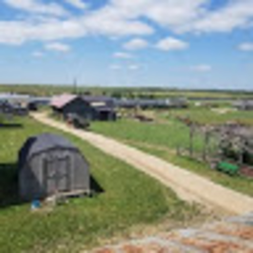 Meet your Posher, Shannyn